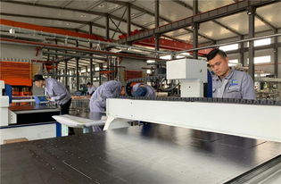 双招双引，产才互促 南海新区构筑高质量发展创新矩阵