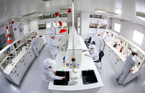 中国恩菲 新能源金属基础材料产业链技术体系开发与应用