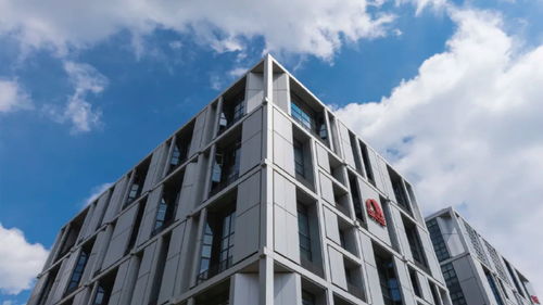 东方雨虹再度跻身2024全球建筑材料上市公司综合实力排行榜，技术服务成核心竞争力